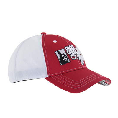 Pre Curved Peak Mesh Trucker Caps 3D Embroidery Baseball Caps 4 painéis
